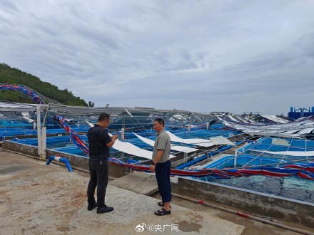 台风“剑鱼”致三亚1700余公顷农作物受灾 台风“剑鱼”致三亚1700余公顷农作物受灾