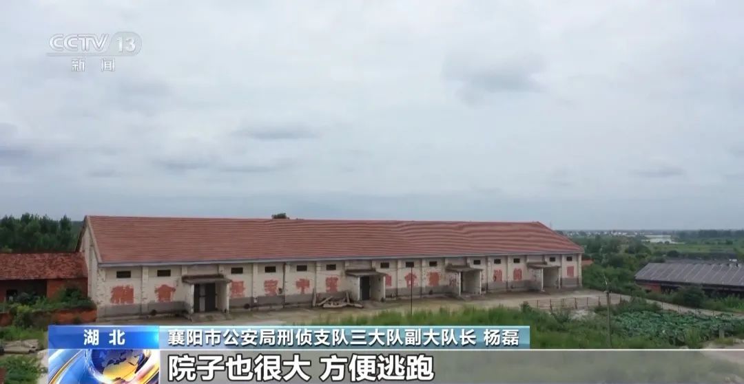 看小说学盗墓，挖走20余件国宝？特大盗墓案揭秘！