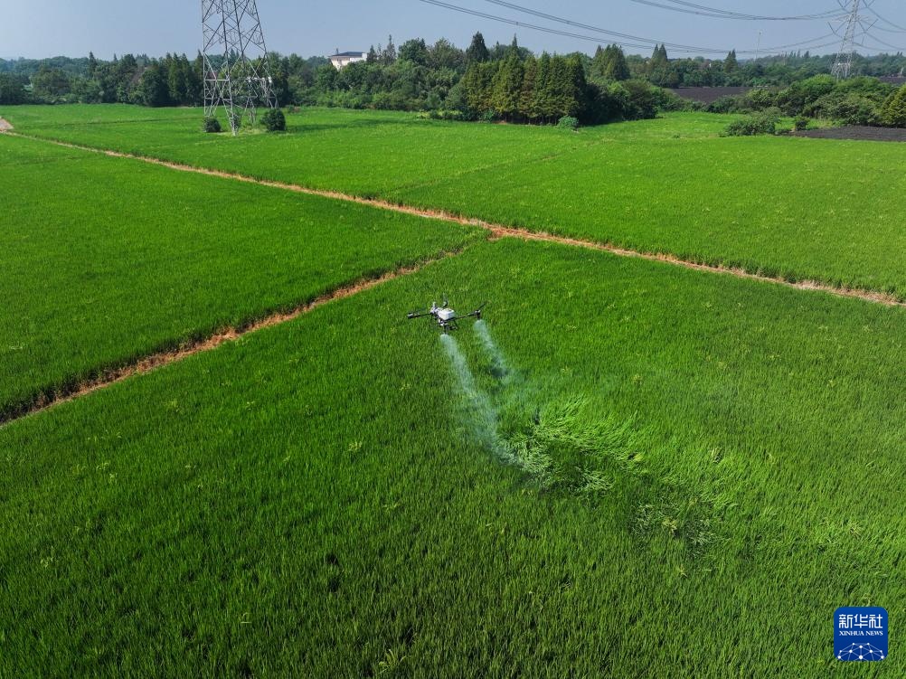 浙江长兴：推进全域土地综合整治 助力美丽乡村建设