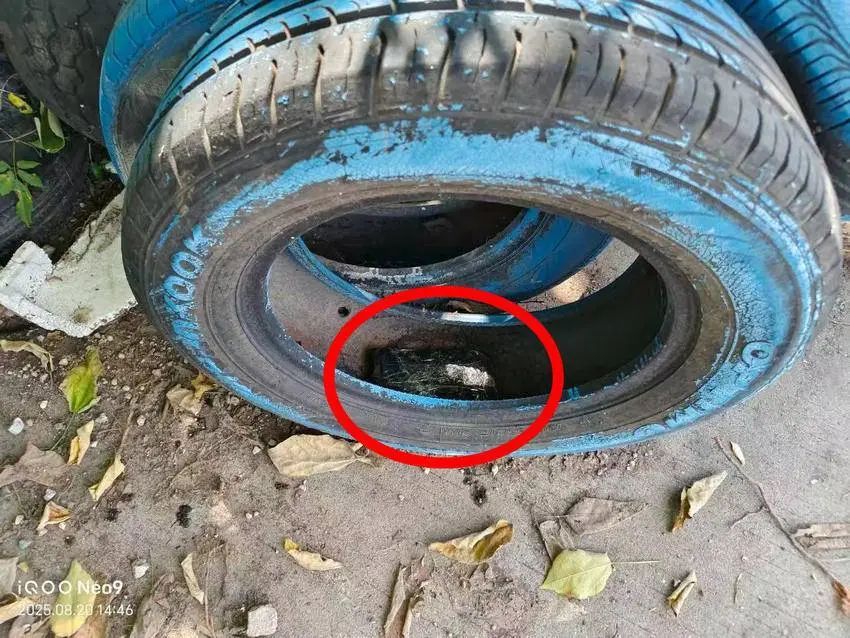 求职考核需将现金藏于废弃轮胎? 求职考核需将现金藏于废弃轮胎?