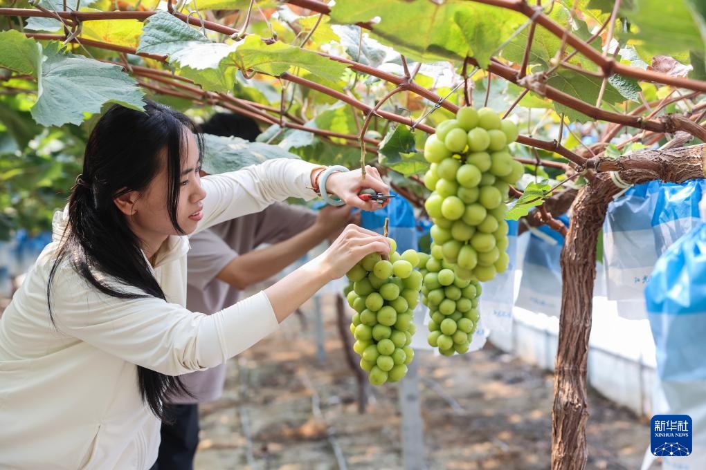 浙江长兴：推进全域土地综合整治 助力美丽乡村建设