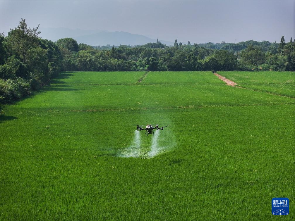 浙江长兴：推进全域土地综合整治 助力美丽乡村建设