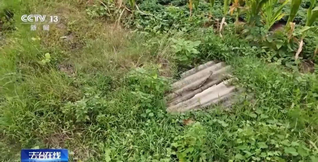 看小说学盗墓，挖走20余件国宝？特大盗墓案揭秘！