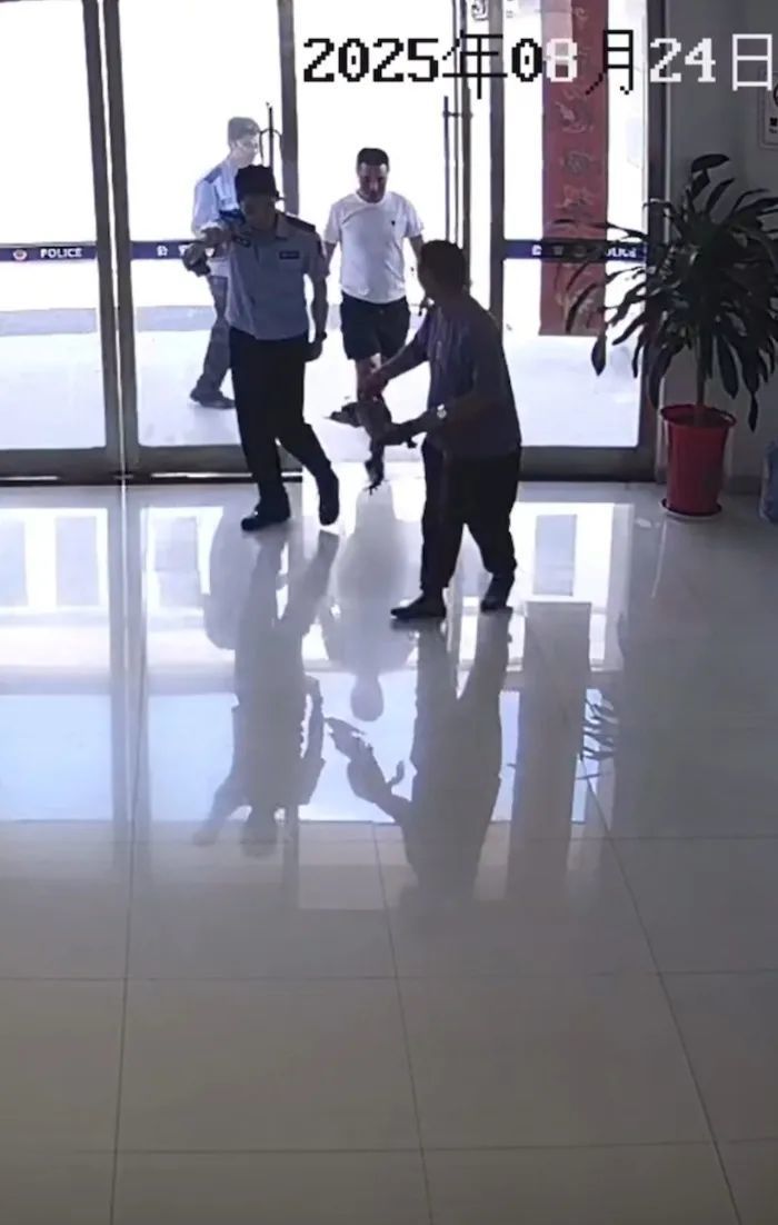 安徽一名“钓鱼佬”钓到扬子鳄！