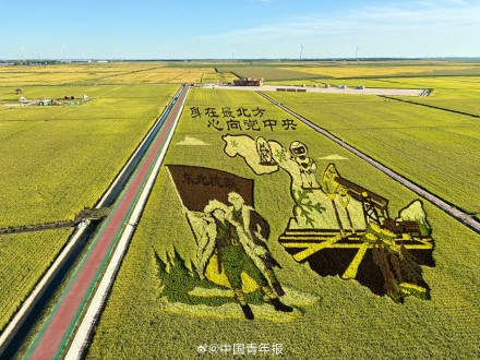 太绝了！富锦稻田画像闯入宫崎骏的夏天