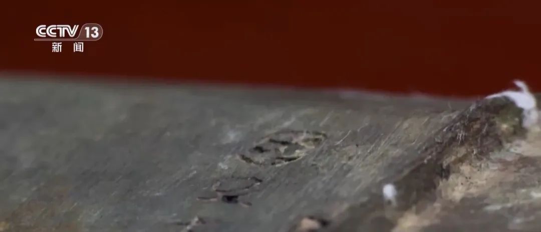 看小说学盗墓，挖走20余件国宝？特大盗墓案揭秘！