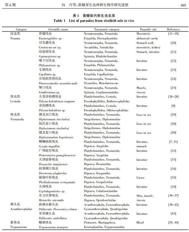 吃它比鸡胸肉还减肥！这种水产长得像蛇，很多人害怕，但其实营养很不错！