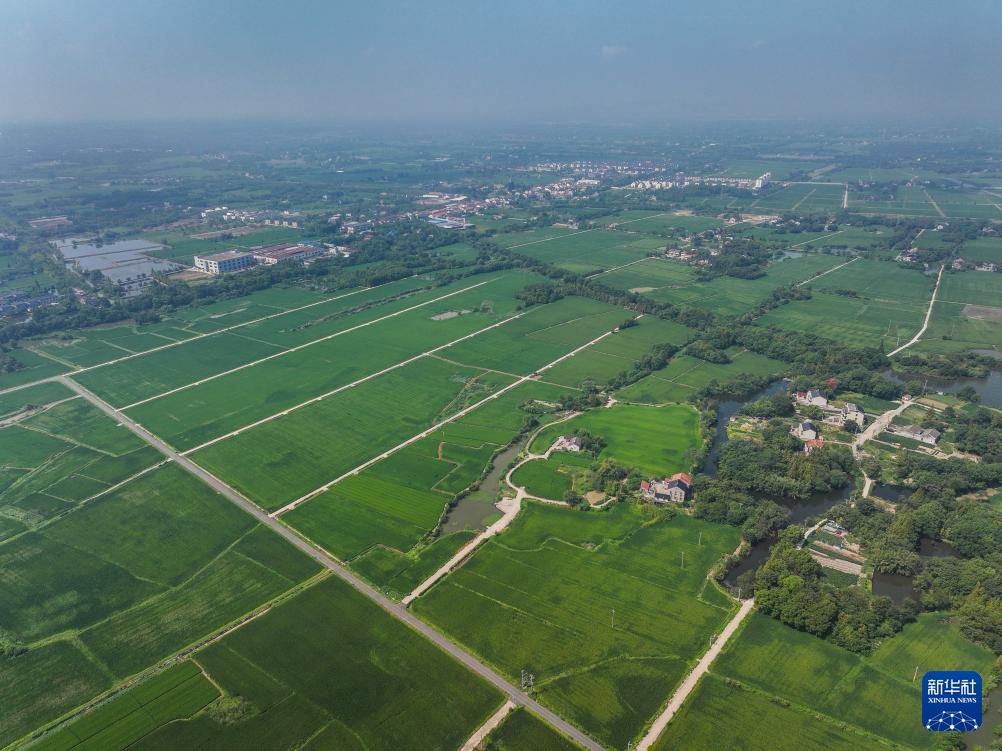 浙江长兴：推进全域土地综合整治 助力美丽乡村建设