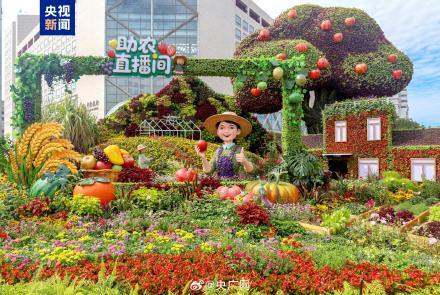一起来打卡！10组花坛点靓长安街