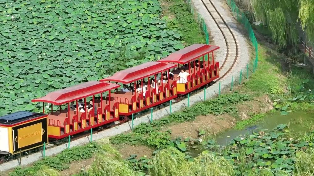 新华视点丨夏日经济“热”力四射 多元业态绘就乡村振兴新图景