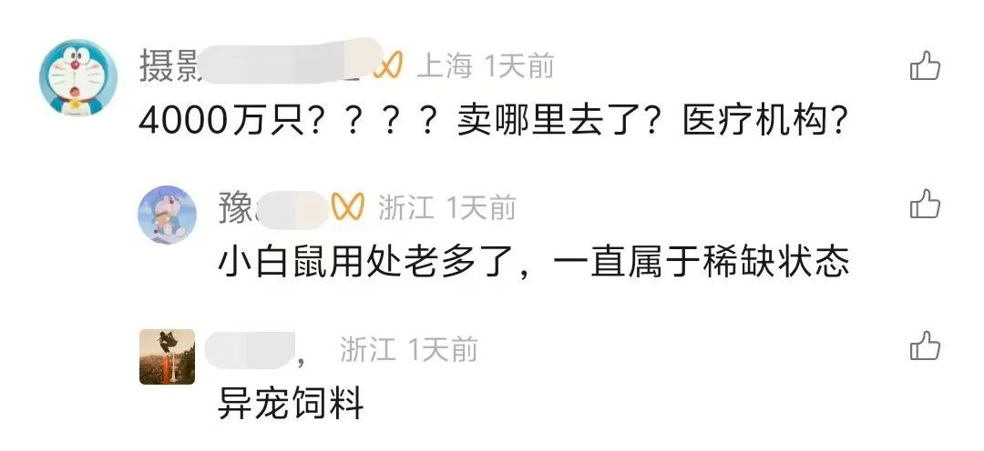 浙江95后小伙返乡创业养鼠，一年卖出4000万只：小白鼠最畅销，订单量供不应求