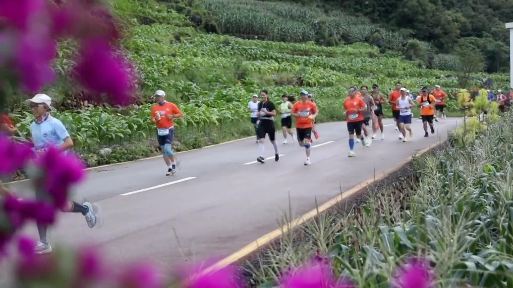新华视点丨夏日经济“热”力四射 多元业态绘就乡村振兴新图景