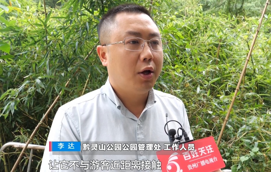 给黔灵山猕猴喂白酒、槟榔、棉花糖,整各种“花活”!这种“宠爱”引人反思 给黔灵山猕猴喂白酒、槟榔、棉花糖,整各种“花活”!这种“宠爱”引人反思