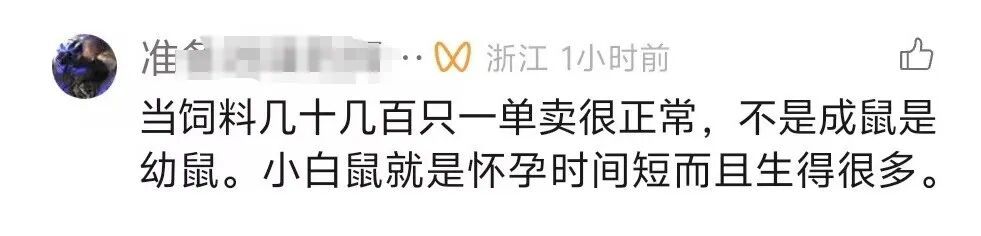 浙江95后小伙返乡创业养鼠，一年卖出4000万只：小白鼠最畅销，订单量供不应求