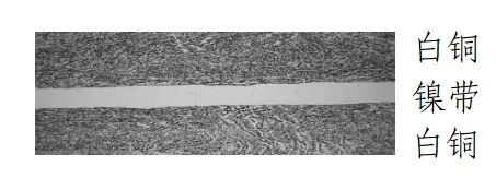 央行重磅！抗战胜利80周年纪念币将发行