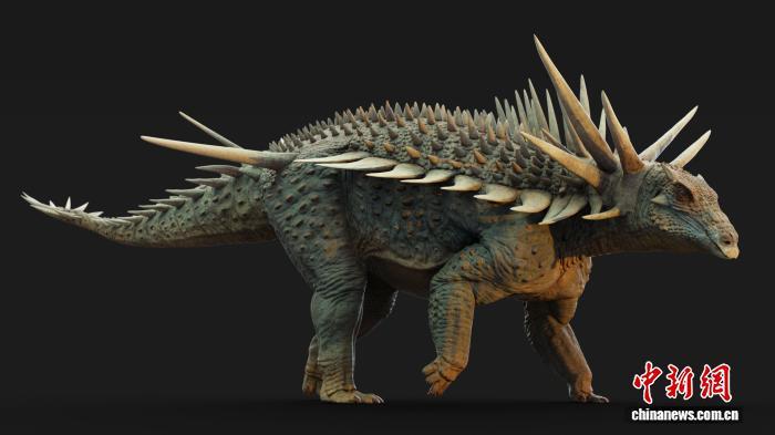 最古老甲龙拥有夸张装甲何用？最新研究称兼具展示与防御功能