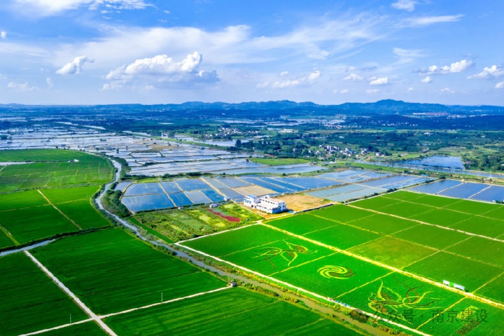 第八批省级传统村落，南京+5