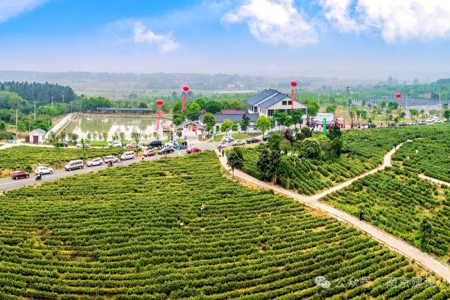 第八批省级传统村落，南京+5