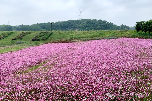 第八批省级传统村落，南京+5