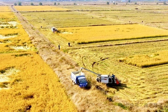 第八批省级传统村落，南京+5