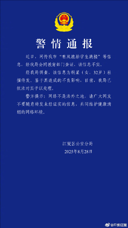 女子杜撰双胞胎小学生因暑假作业跳楼，警方通报