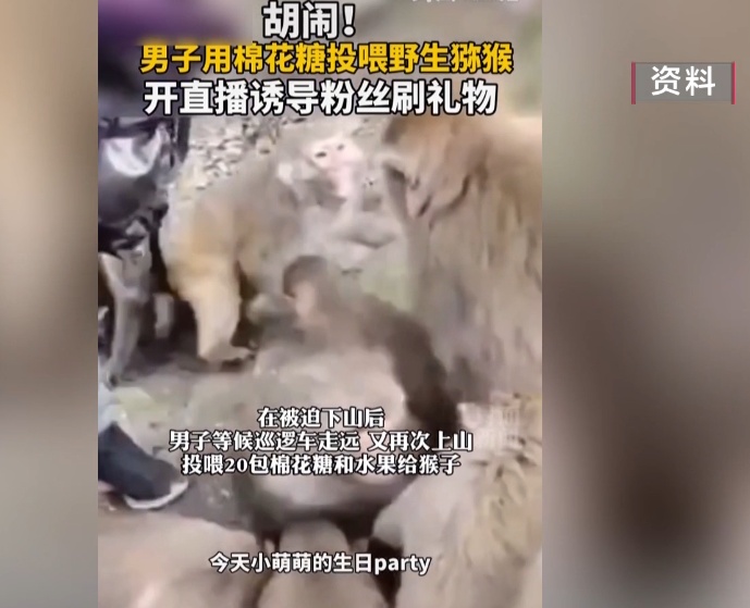 给黔灵山猕猴喂白酒、槟榔、棉花糖,整各种“花活”!这种“宠爱”引人反思 给黔灵山猕猴喂白酒、槟榔、棉花糖,整各种“花活”!这种“宠爱”引人反思