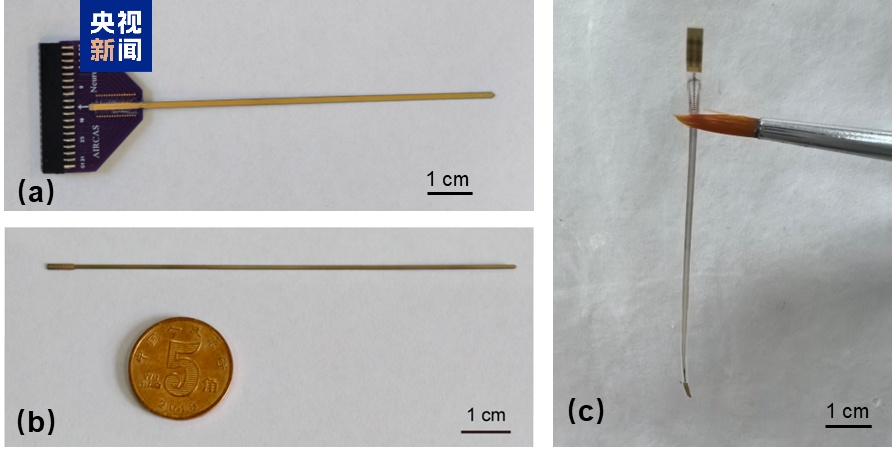全球首次！我国植入式脑机接口取得新突破