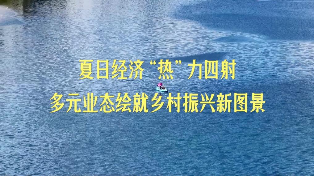 新华视点丨夏日经济“热”力四射 多元业态绘就乡村振兴新图景