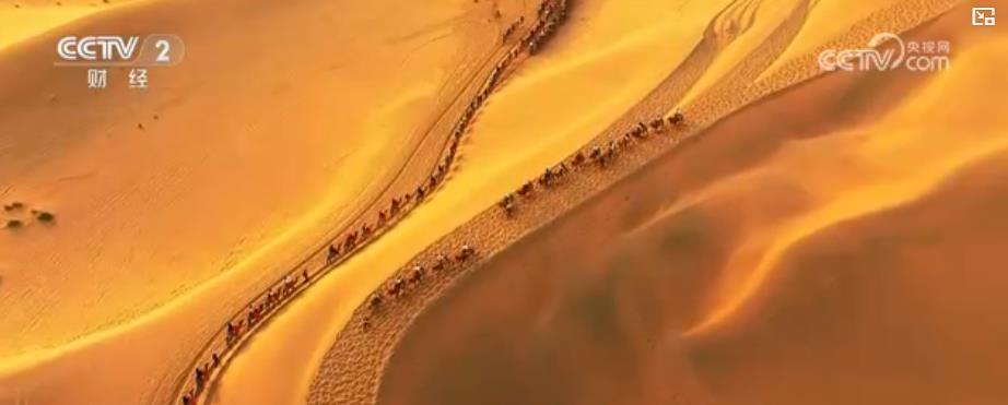 从“夜游动物园”到“夜市烟火气”:“夜经济”拉动消费新引擎 从“夜游动物园”到“夜市烟火气”:“夜经济”拉动消费新引擎