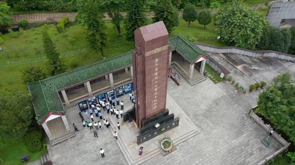 新华视点丨夏日经济“热”力四射 多元业态绘就乡村振兴新图景