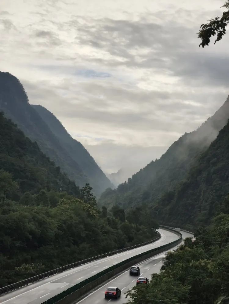 深圳到重庆，历时15天！大一新生骑行1700多公里报到，经历了什么？
