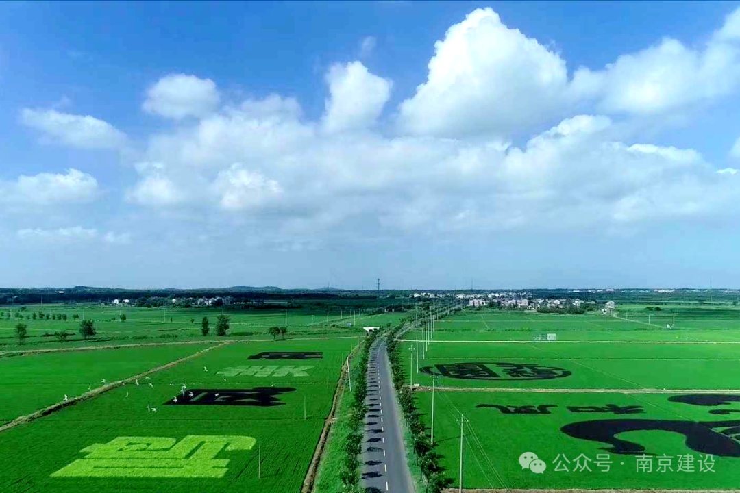 第八批省级传统村落，南京+5