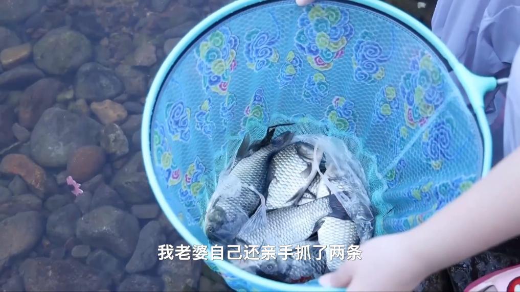 新华视点丨夏日经济“热”力四射 多元业态绘就乡村振兴新图景