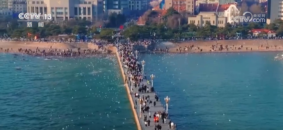 七夕仪式感满满！各地迎来结婚登记小高峰 特色登记点成为浪漫打卡地