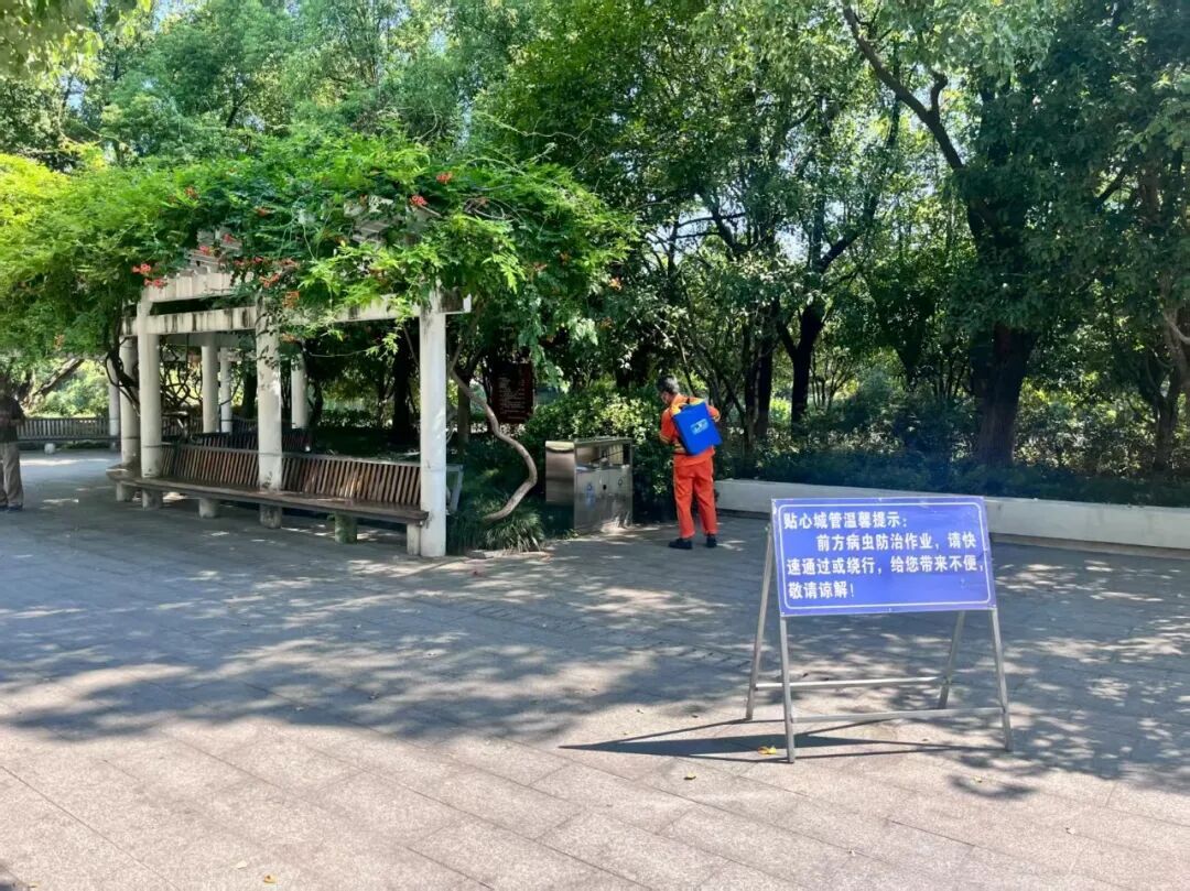 蚊虫传播活跃期！杭州确认 已启动消杀