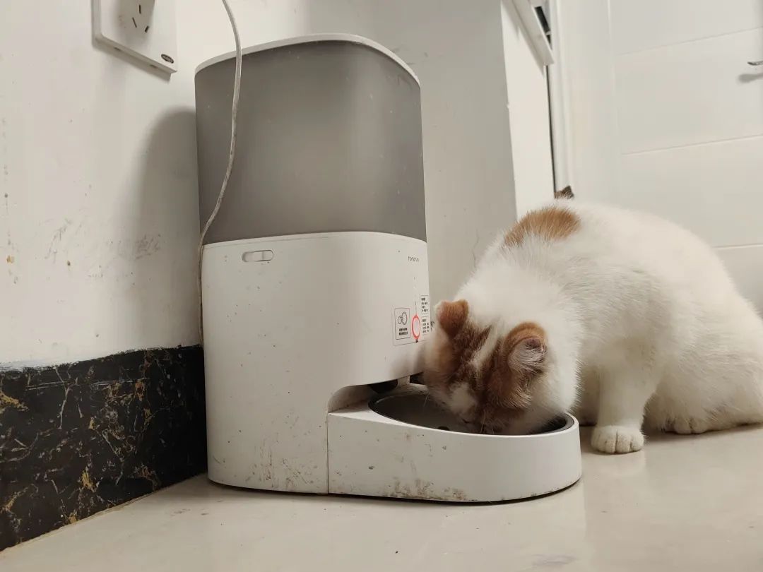 养宠“高科技”，真的靠谱吗？