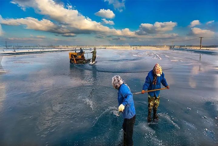 央视热播剧《生万物》中的那片海，原来在连云港！