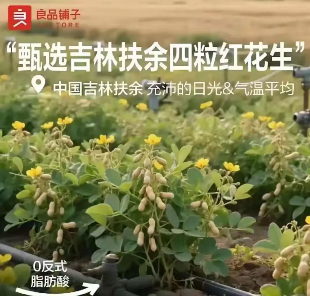 花生在树上结果？良品铺子道歉