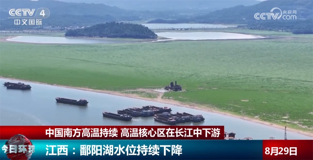 浇水解渴、供水调度、蓄水保水节水……南方多地积极应对高温天气