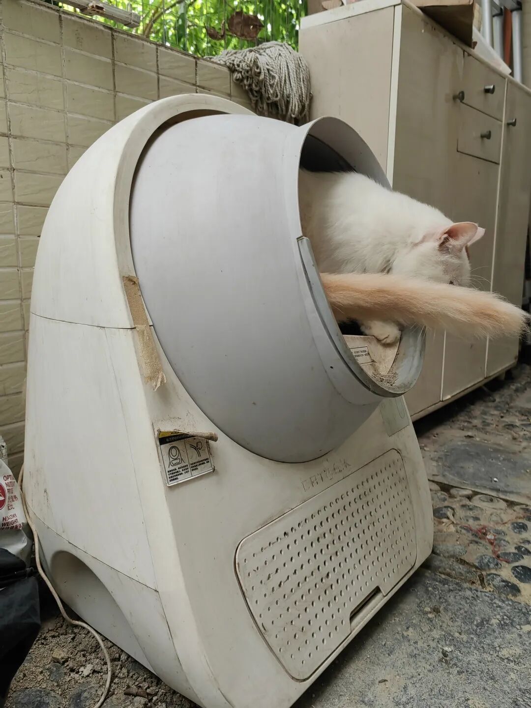 养宠“高科技”，真的靠谱吗？