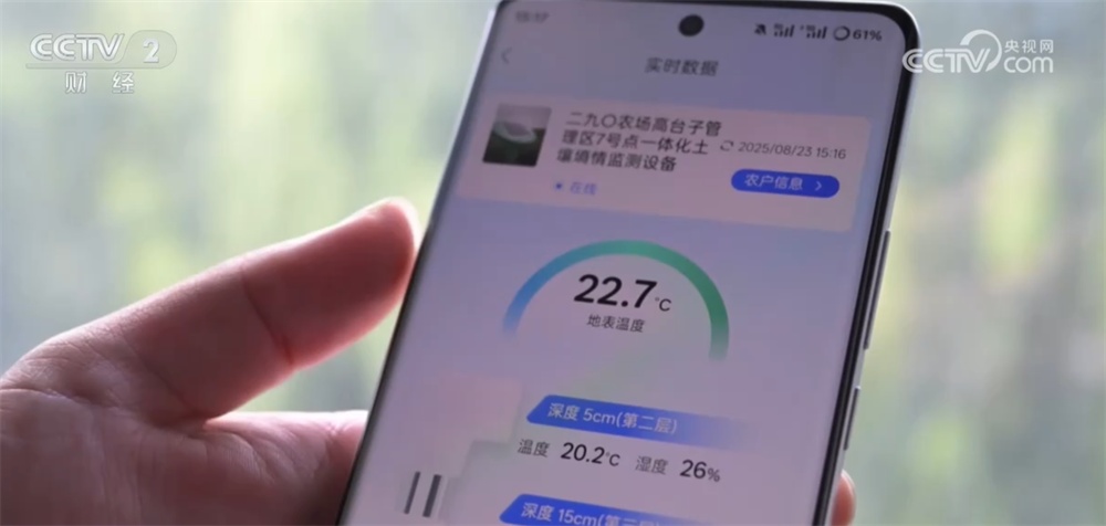“一喷多促”、实地查看“开”方案……“握指成拳”护航秋粮产量形成关键期