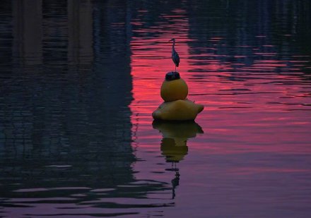 北京现绝美火烧云 市民打卡定格美景