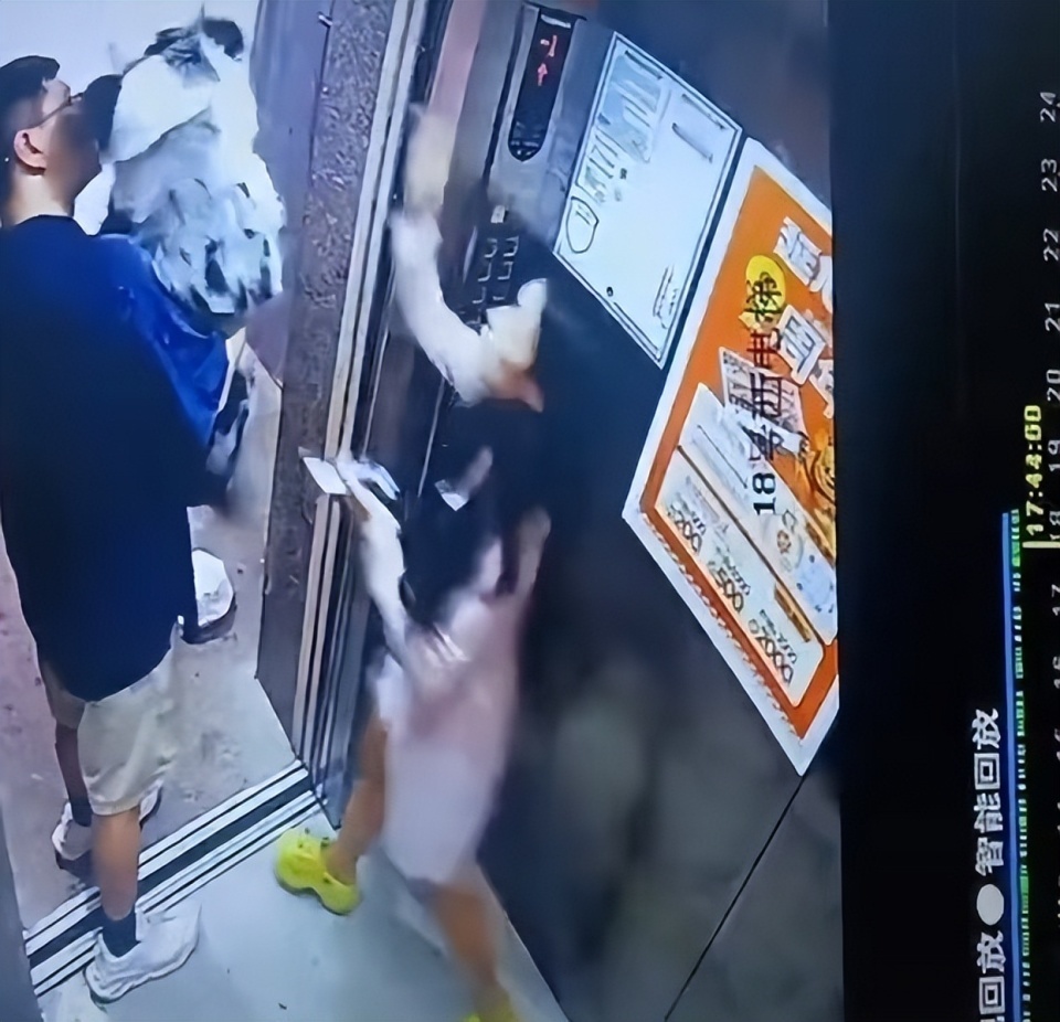 牧羊犬独自蹿进电梯，遛狗绳夹门缝“狗吊半空”：一男一女见状解救