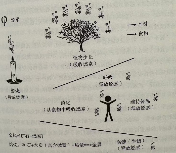 资讯动态 | 科学时光机：揭开氧气之谜的拉瓦锡！