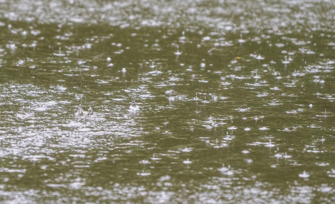 台风“蓝湖”或于今天生成，广东局地将有暴雨、大暴雨