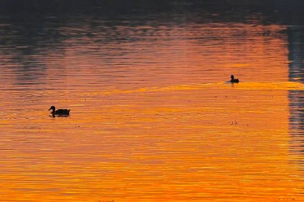 北京现绝美火烧云 市民打卡定格美景