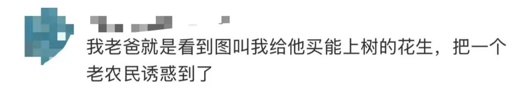 枝头挂满花生？良品铺子道歉