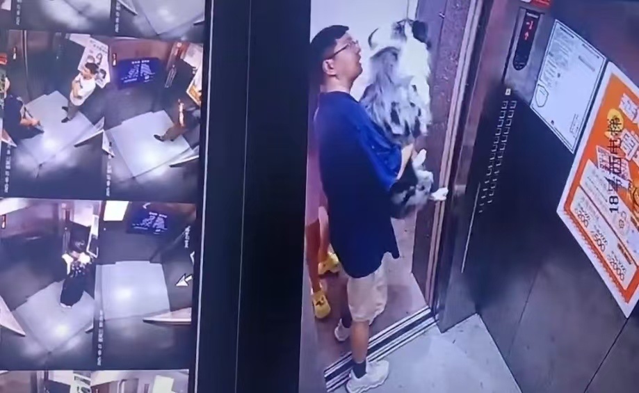 牧羊犬独自蹿进电梯，遛狗绳夹门缝“狗吊半空”：一男一女见状解救