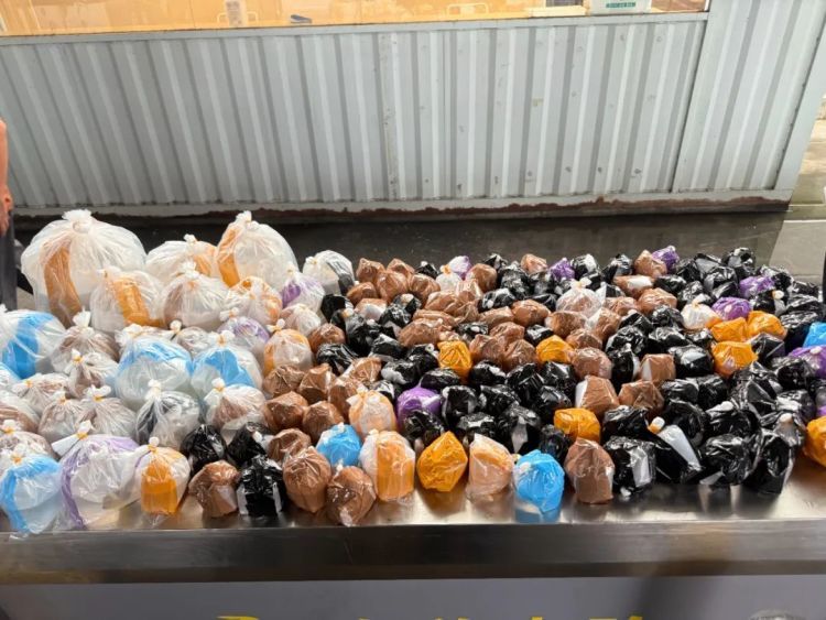 深圳皇岗海关在客运进境车道查获跨境客车司机携带活体观赏鱼188条