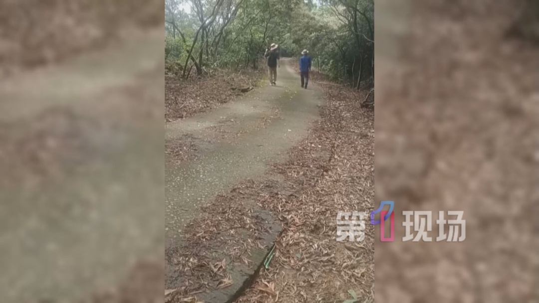 男子登山失联18天！父母再次发声